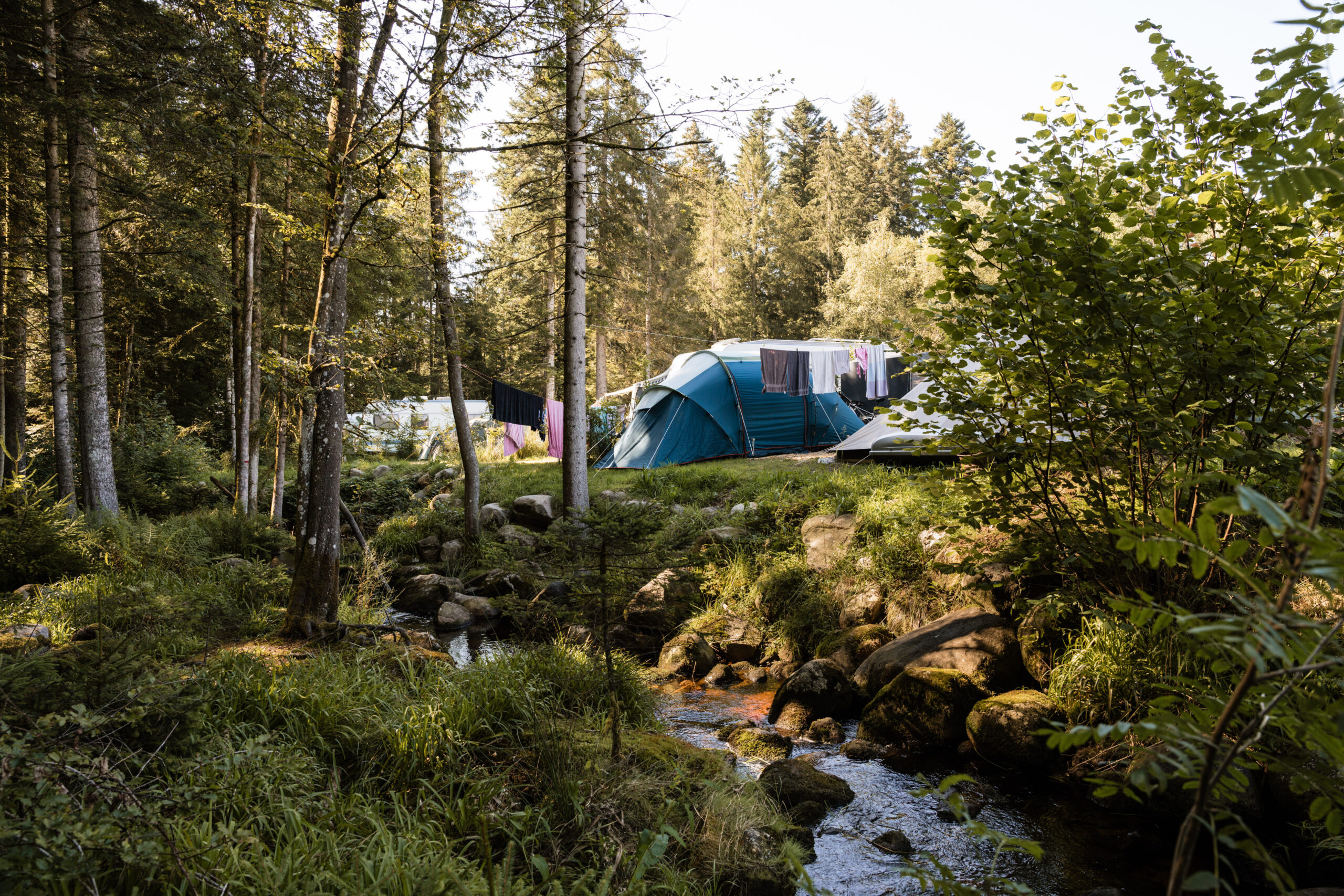 STENIOLE2024 WEB 164