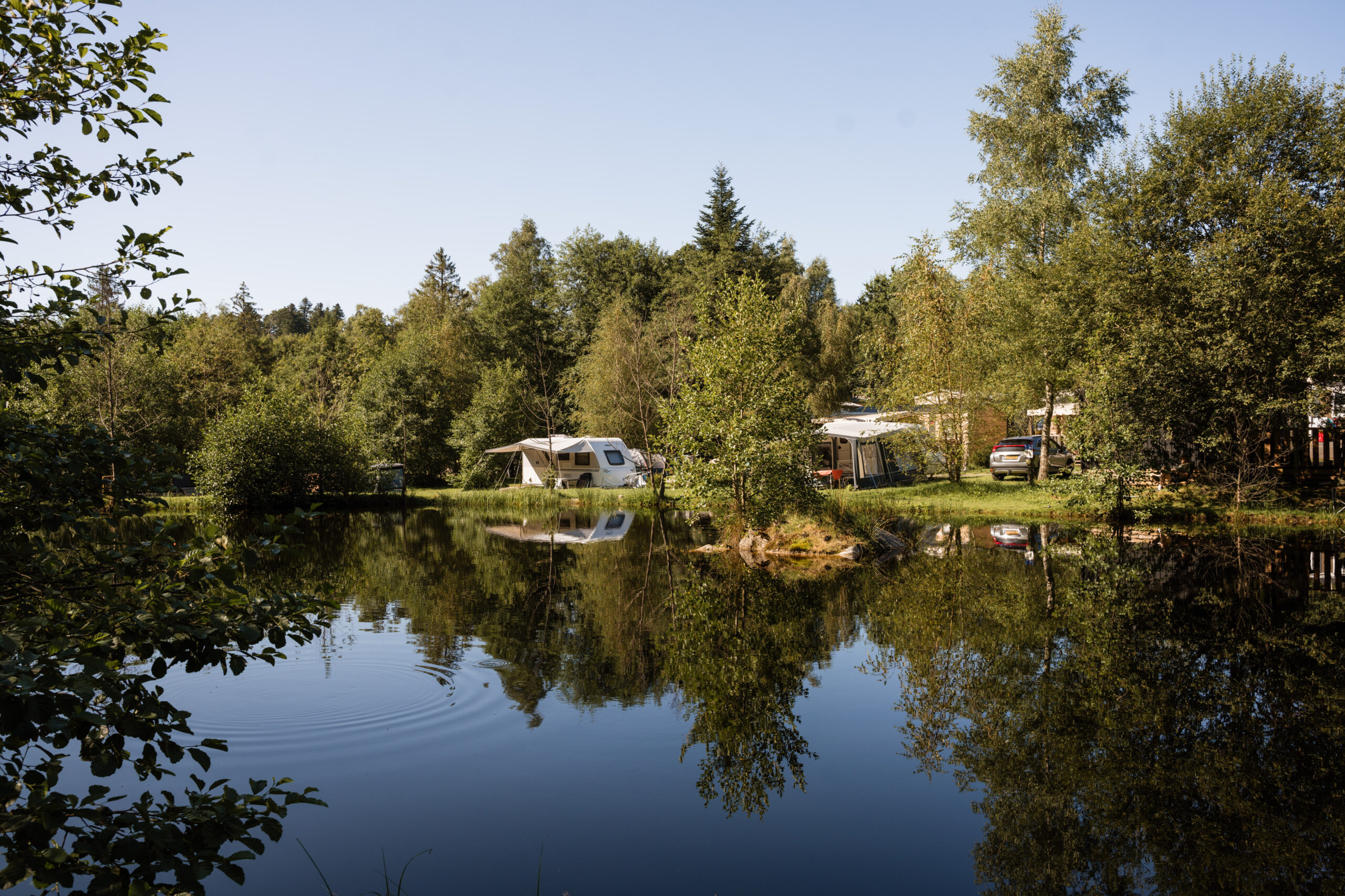 STENIOLE2024 WEB 167